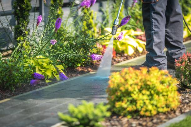 Best House Exterior Washing  in Linglestown, PA